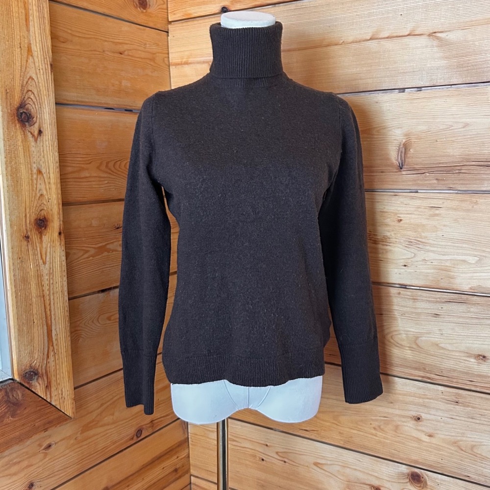 Merino Wool Turtleneck Sweater Women Medium Brown Dark Academia Banana Republic
